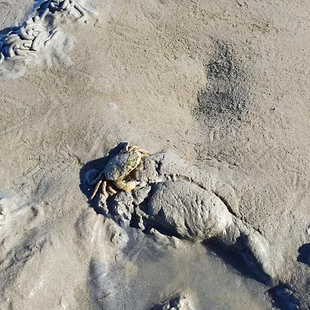 Apartamento Duhner Meerblick *