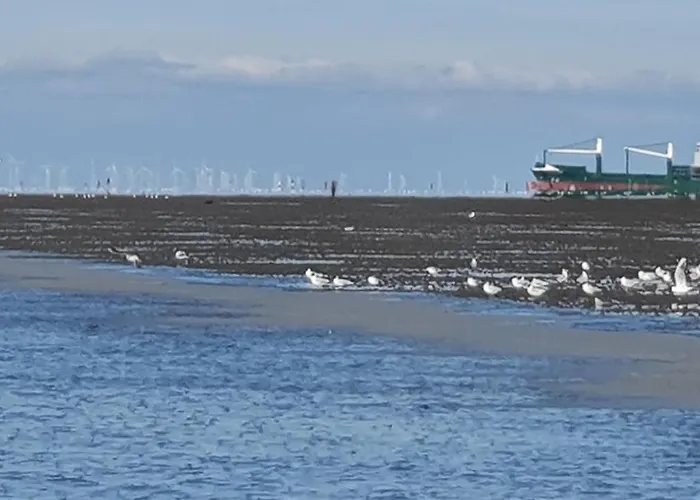 Appartamento Duhner Meerblick *