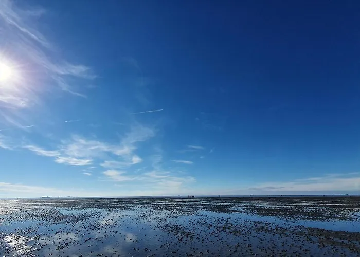 Duhner Meerblick Lejlighed