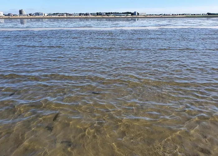 Lejlighed Duhner Meerblick *